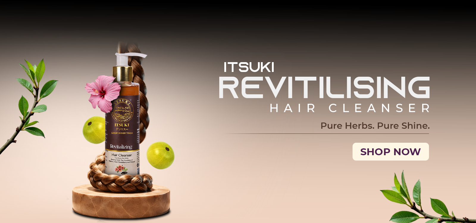 hair-cleanser-banner-1 (2)